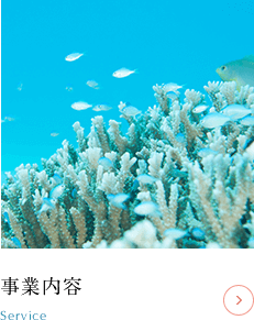 事業内容