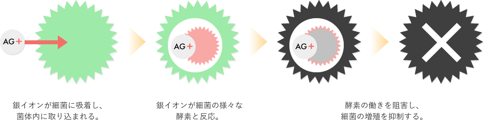 銀イオンが細菌の様々な酵素と反応